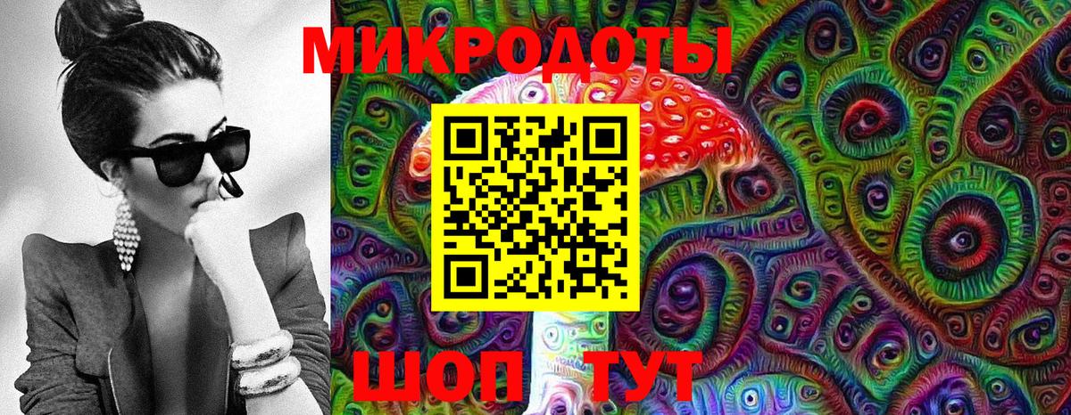 Галлюциногенные грибы Psilocybine cubensis Сальск