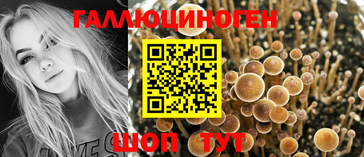 Псилоцибиновые грибы прущие грибы  Вход с VPN  Сальск 